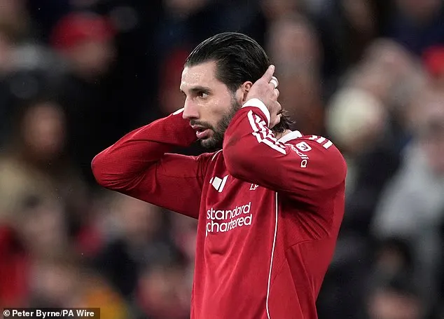 乐鱼官网官方网站-索博：我理解球迷的愤怒，但请你们依然站在我们身后